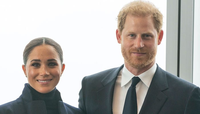 Meghan Markle, Prince Harry’s Netflix docuseries to get them ‘fully slaughtered’