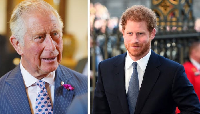 Prince Harry ‘no longer needs daddy King Charles to buy his iPhones’