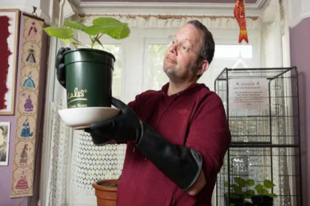 UK man grows 'World's Most Dangerous Plant' at home