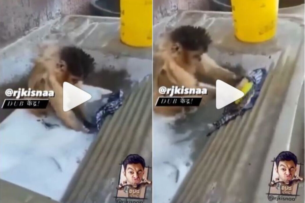 Viral Video: Monkey washes clothes with brush and soap