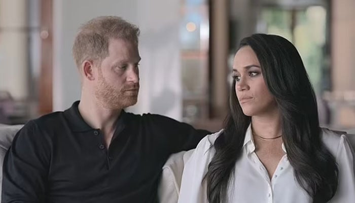 Prince Harry, Meghan Markle accused off ‘assigning a lot of blame too quickly’