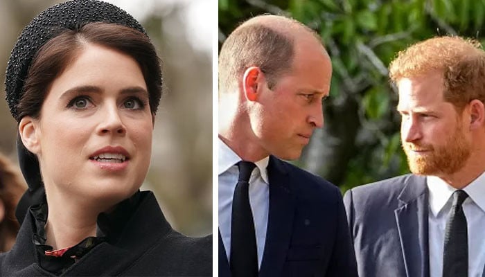 Princess Eugenie has ‘a lot to take in’ with Prince William, Harry’s rift