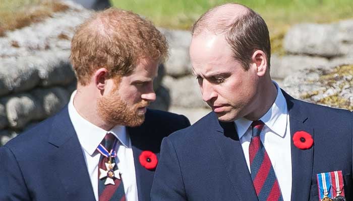 Prince William and Harry's battle to be king not new