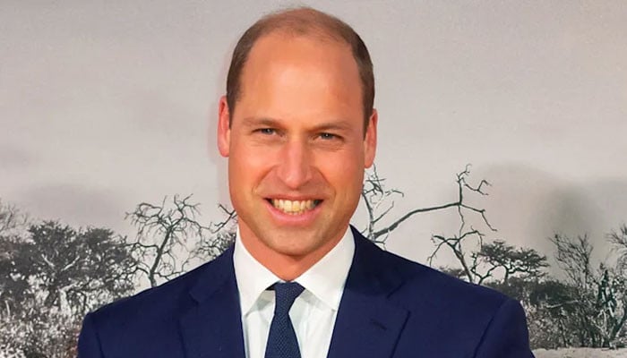 Prince William amused by ‘South Park’ roasting brother Harry, royal insider