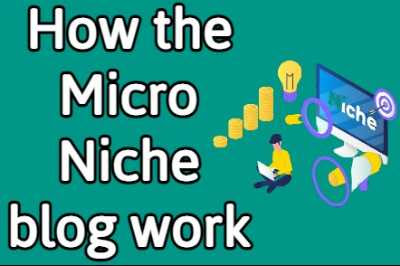 How the Micro Niche blog works [Full Detail]