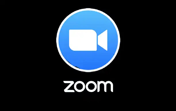 How to Use 'Zoom Stop Incoming Video' Feature in Meetings