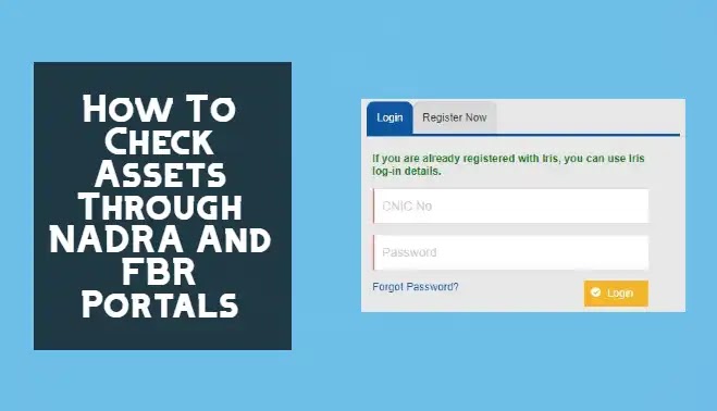 How To Check Your Asset Details Through NADRA And FBR Portals