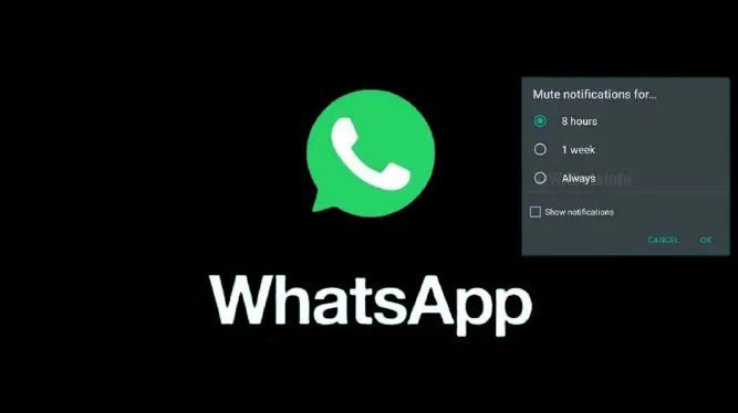 How to mute Groups and Chats on WhatsApp