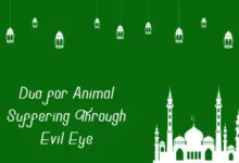 dua for animal suffering through evil eye