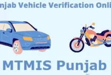 punjab vehicle verification online