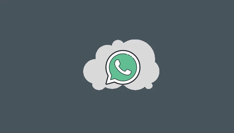 use dual whatsapp on parallel space