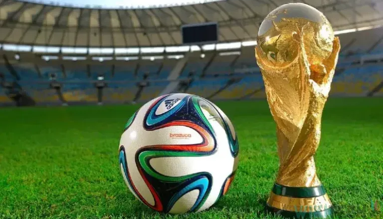 fifa world cup