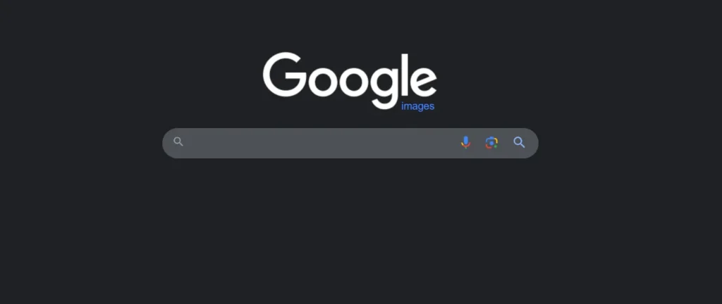 google image search
