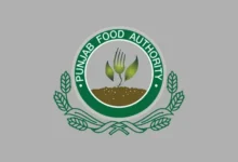 punjab food authority