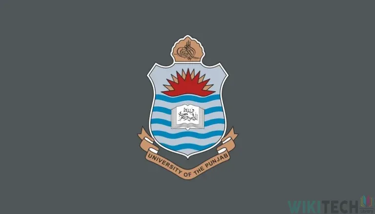 punjab university
