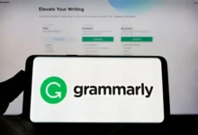grammarly cookies
