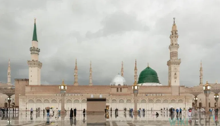procedure to visit madina
