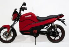 magvus
