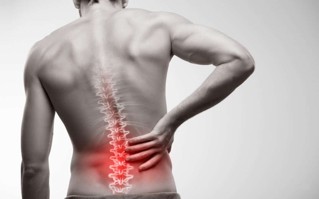 lower,back,pain