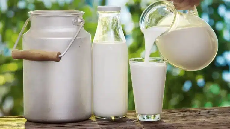 dairy milk