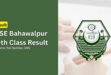bahawalpur board 10th class gazette matric ssc 2
