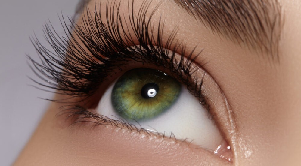 eyelash