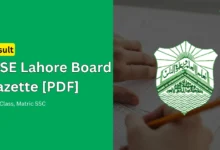 lahore board 10th class gazette pdf matric ssc 2