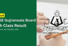 gujranwala board 9th class position holders matric ssc 1
