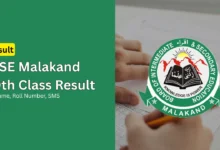 malakand board 10th class position holders ssc 2