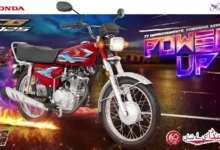 cg 125 2024 model