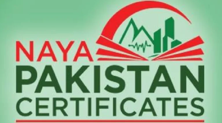 naya pakistan certificates