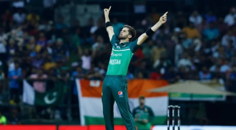 shaheen afridi