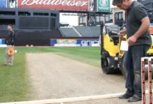 usa cricket stadium