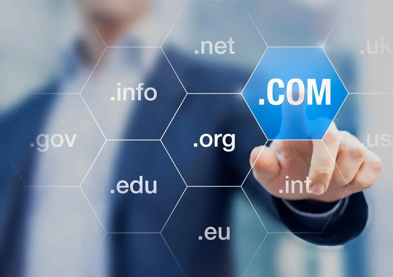 domain name