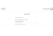 dubai electricity bill online