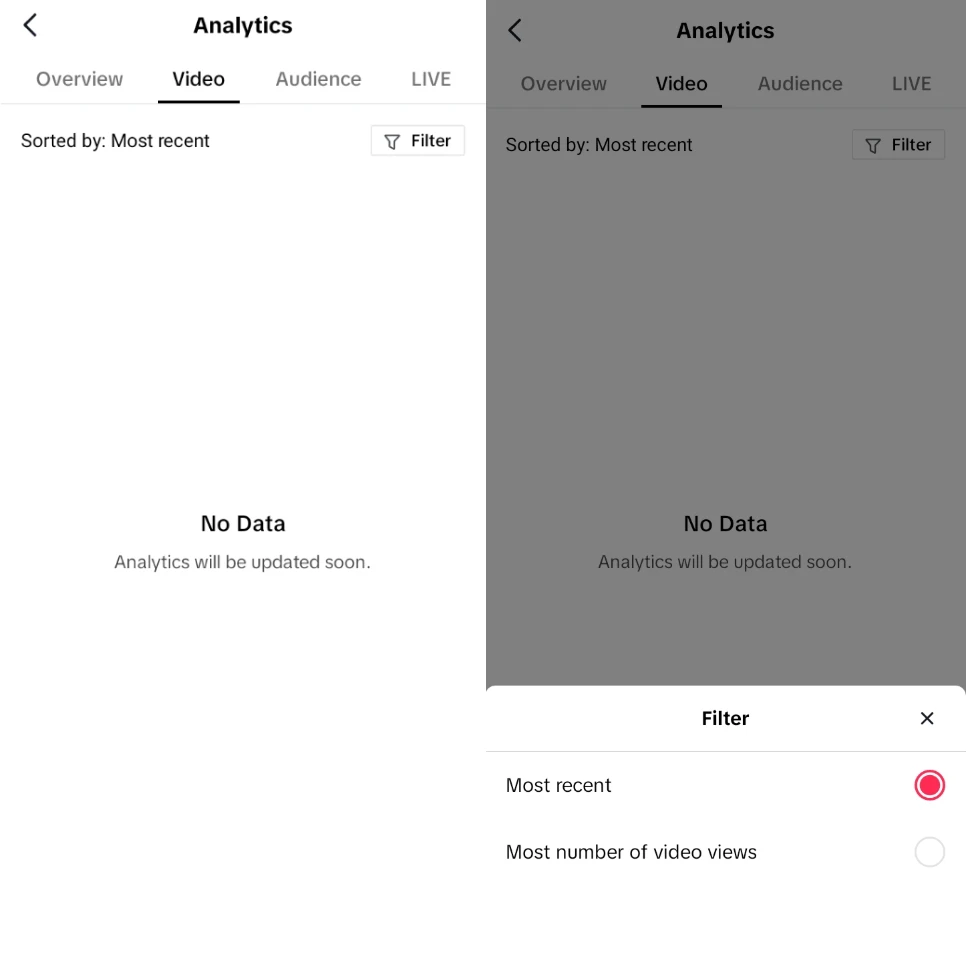 tiktok sort videos buisness suit video filter