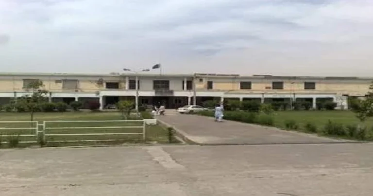bise mardan