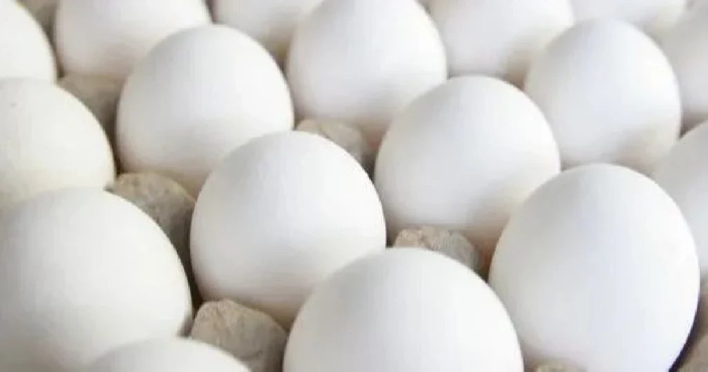 egg rate in pakistan