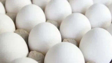 egg rate in pakistan