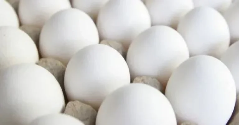 egg rate in pakistan