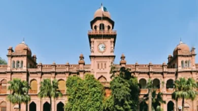 punjab university