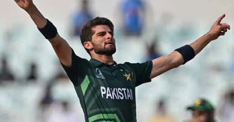 shaheen shah