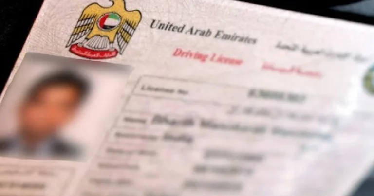 uae driving licence