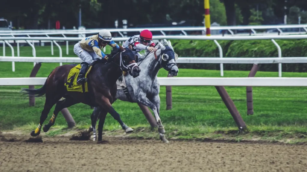 Best Sports Betting Environment piratespot
