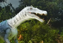 dinosaurs to tame in ark survival ascended