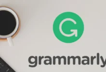 grammarly use google docs