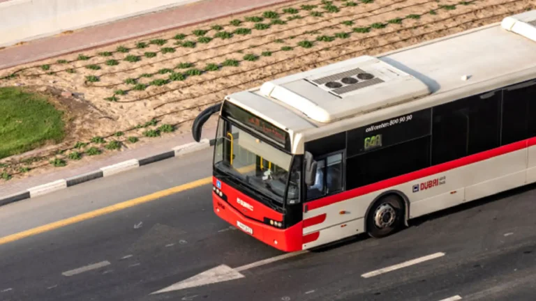 rta bus