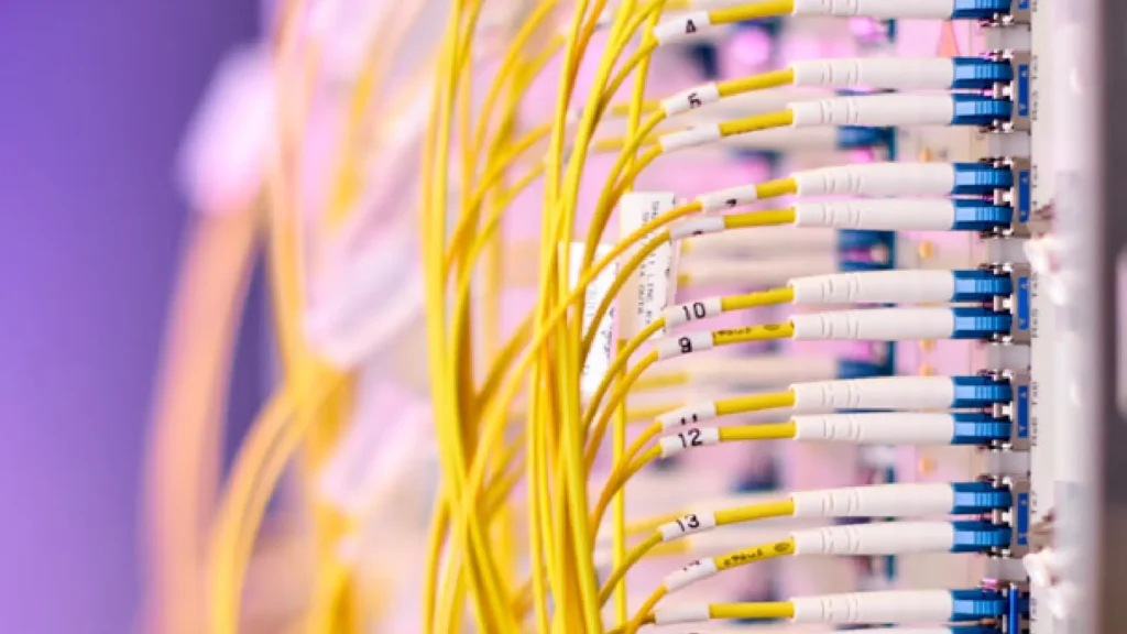 dwdm