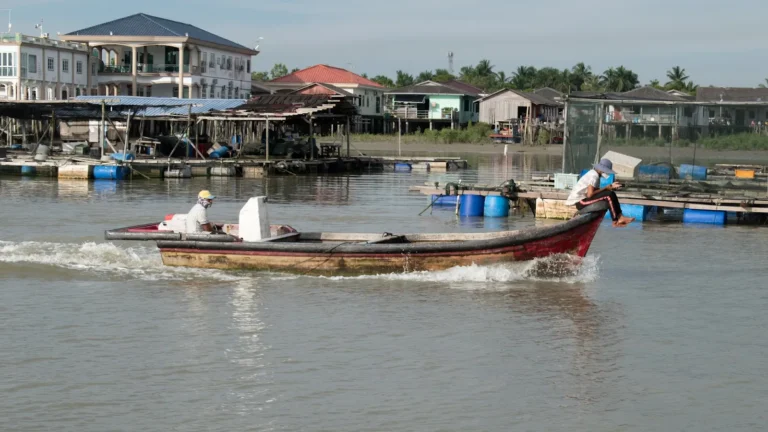 Bridging Waters: The Marvels and Impacts of Floating Bridges in China