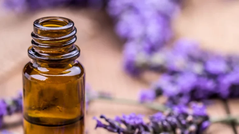 lavender oil